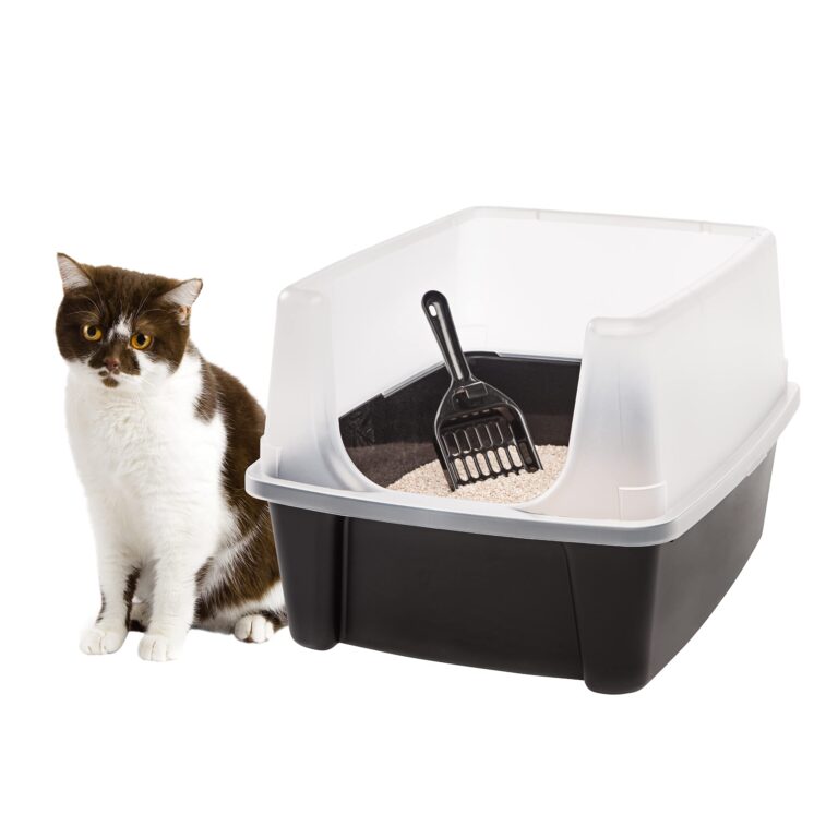 best cat litter box