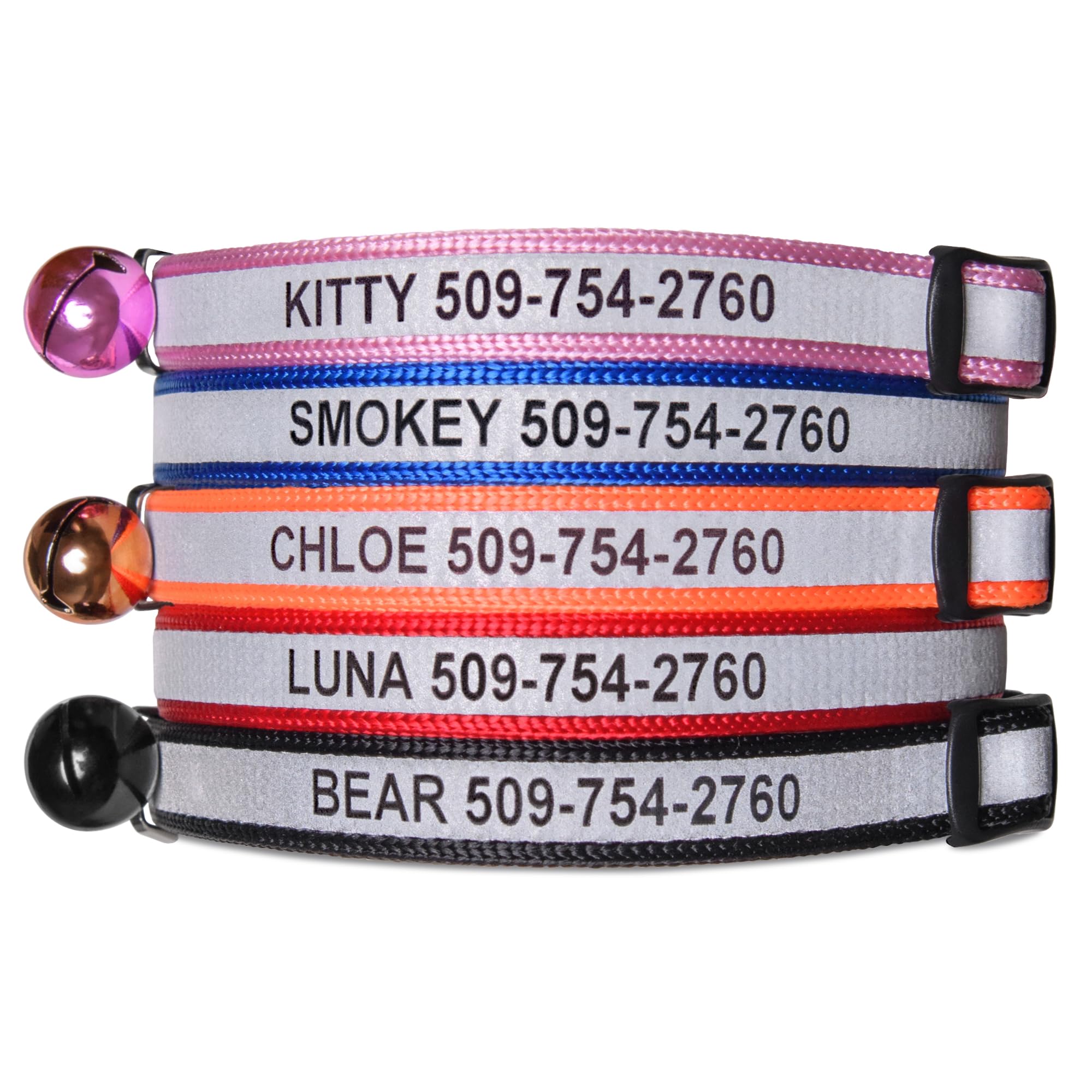 best cat collar