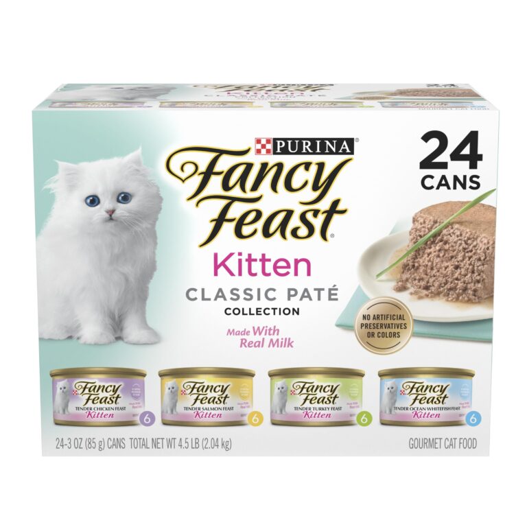 best Wet Kitten Food