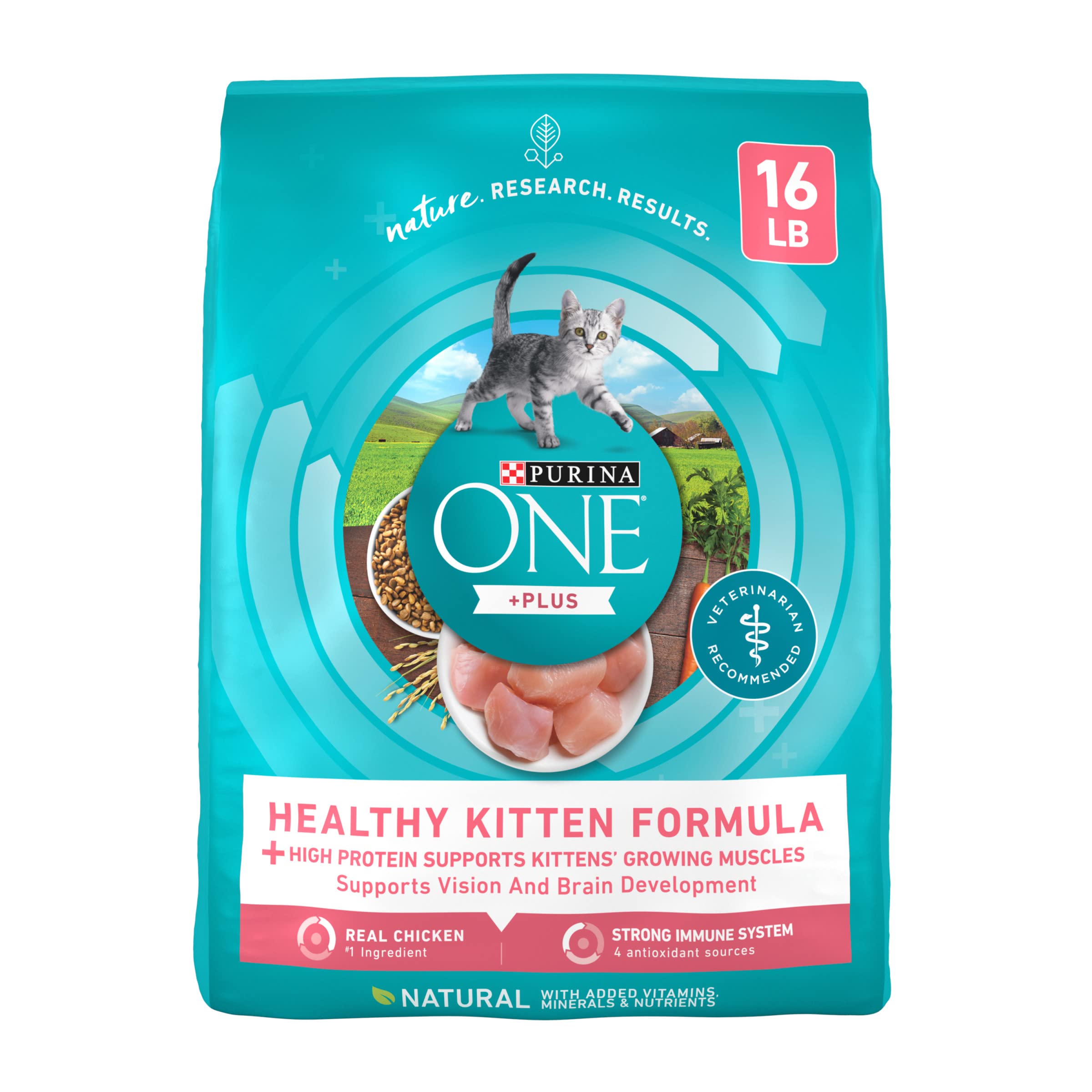 Best Kitten Dry Food