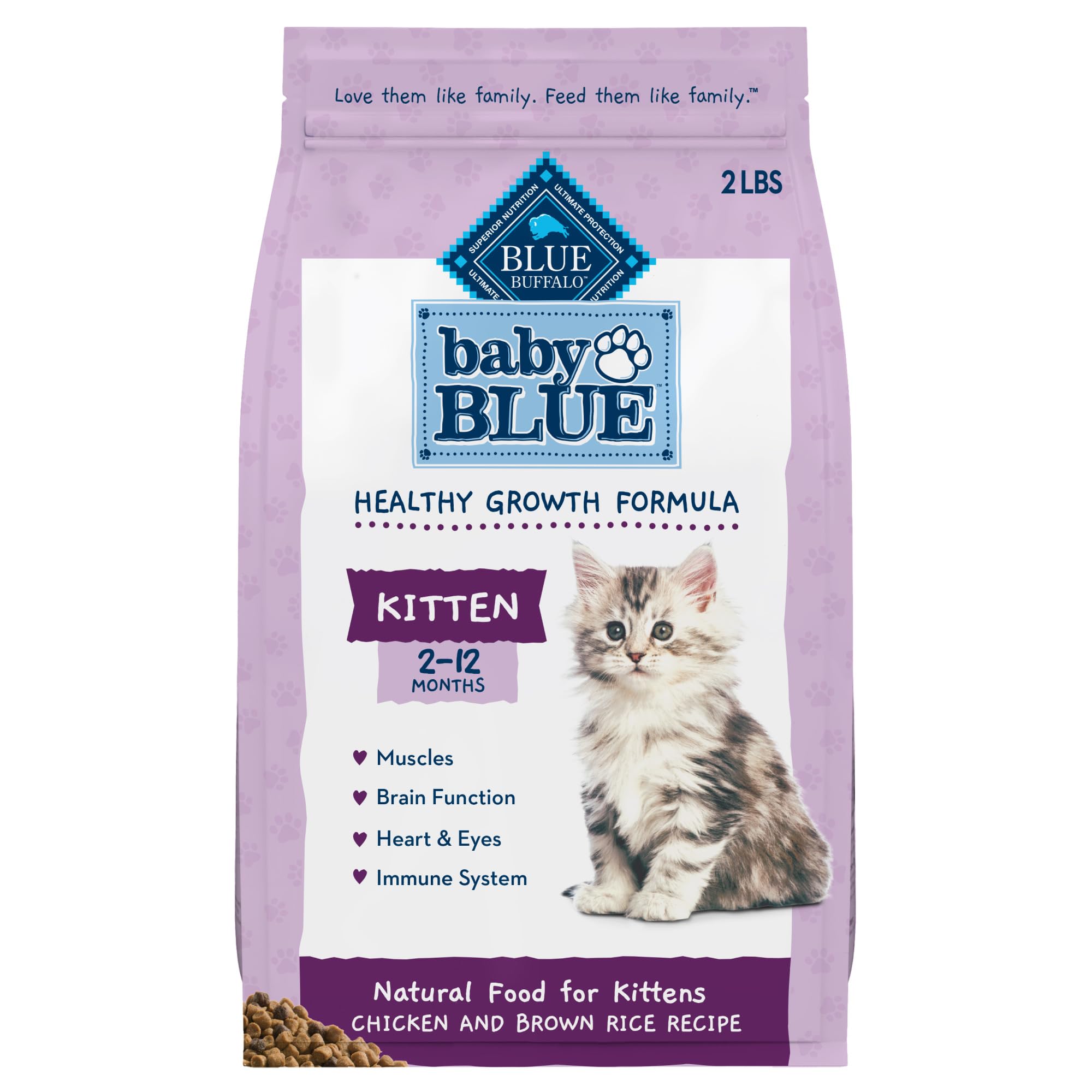 Best Kitten Dry Food