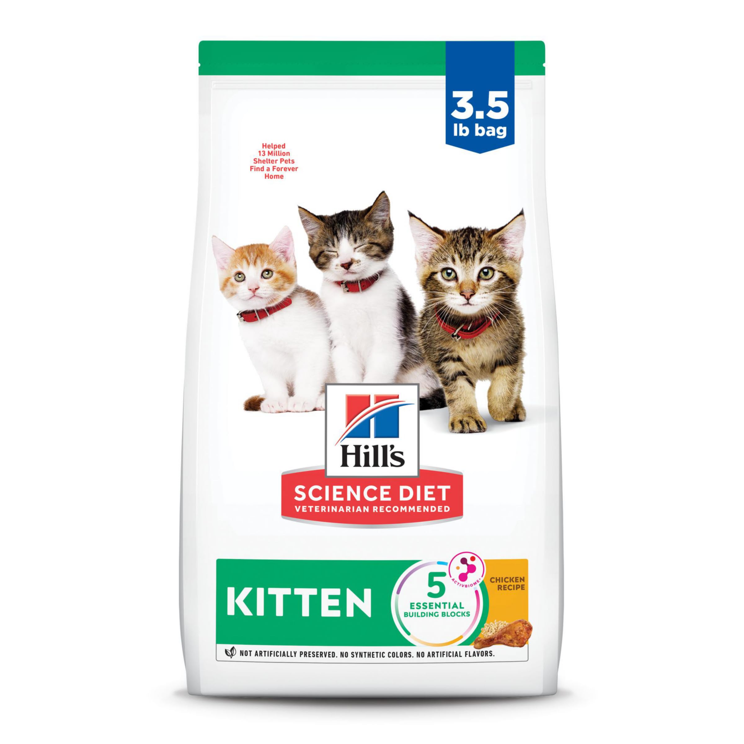 Best Kitten Dry Food