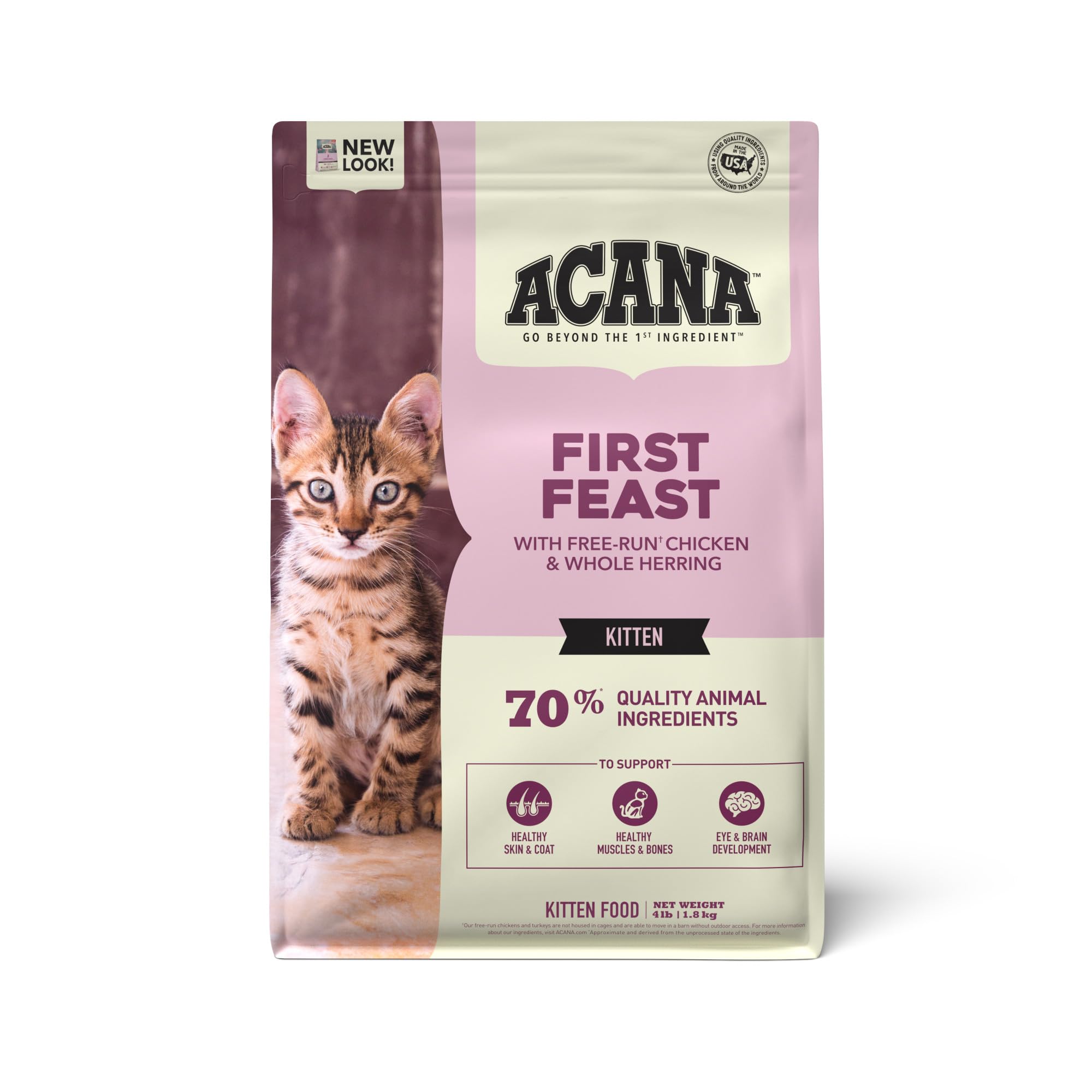 Best Kitten Hard Food