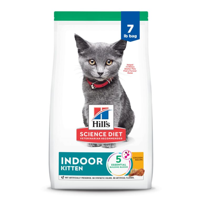 best kitten hard food