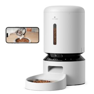 Automatic Feeder for Cats