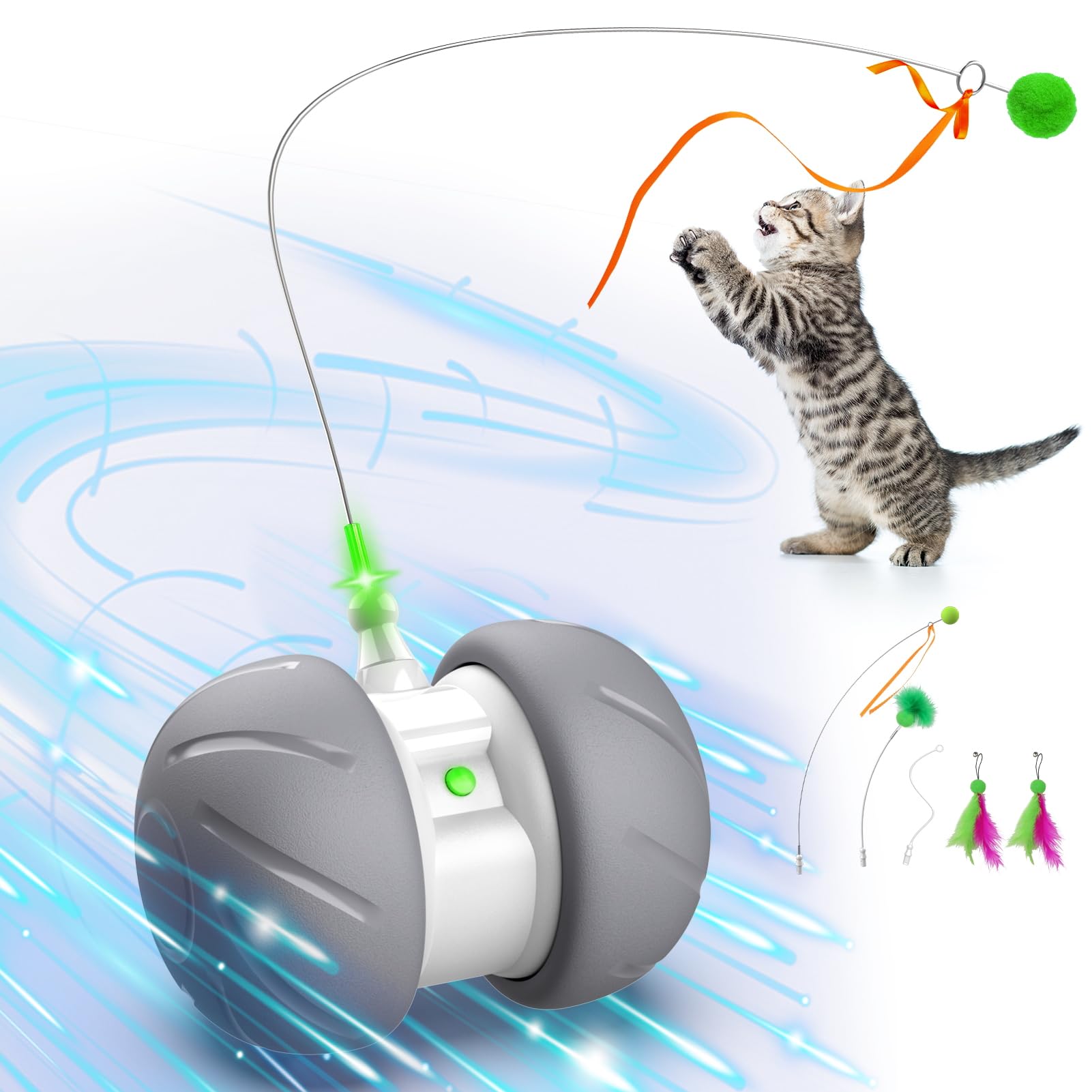 Best Cat Toys