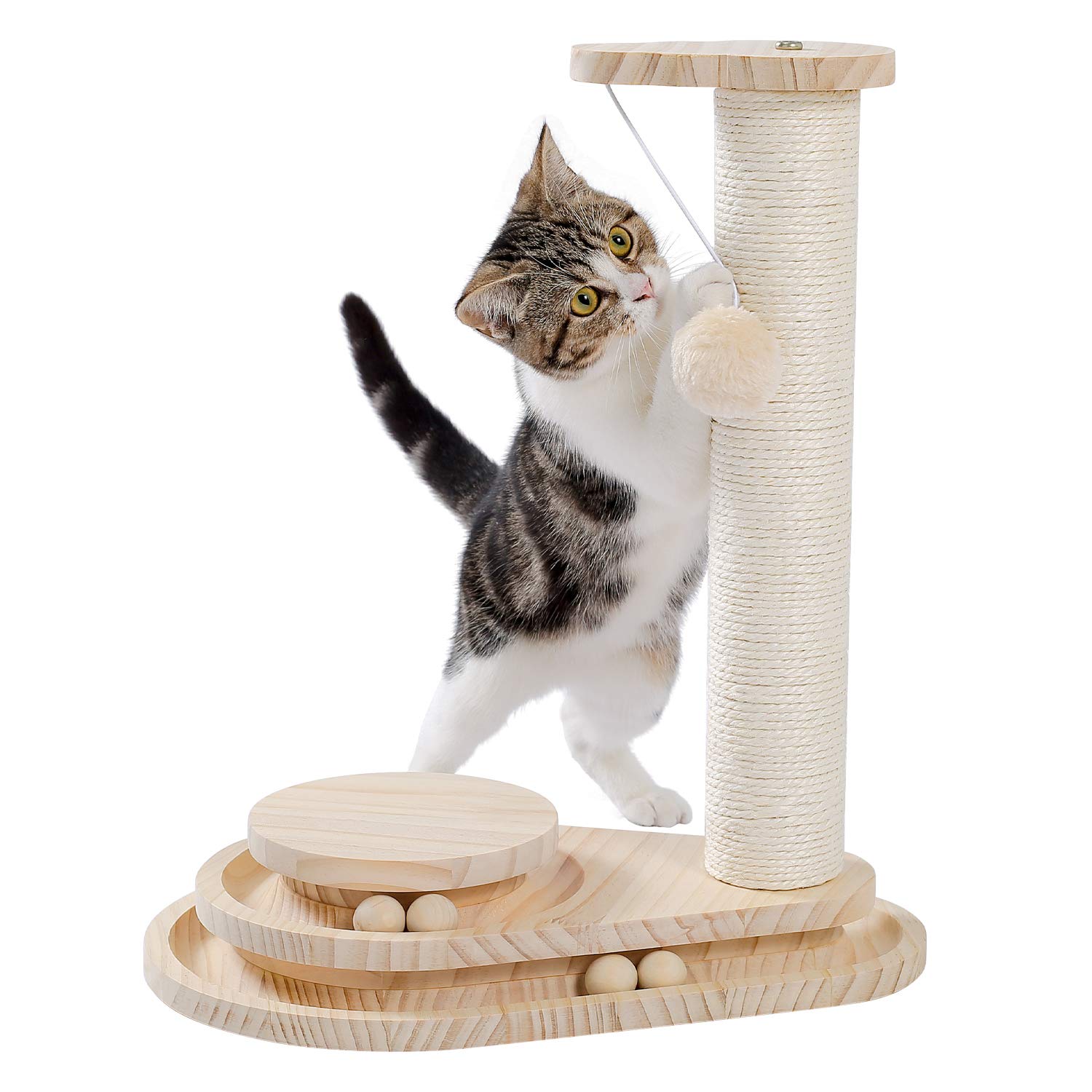 Best Cat Toys